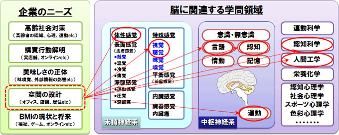 企業のニーズと脳に関連する学問領域